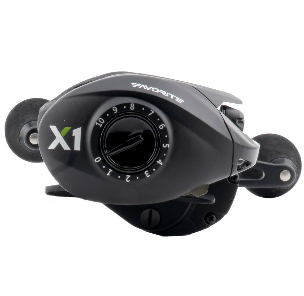 FAVORITE X1 - 100 CASTING