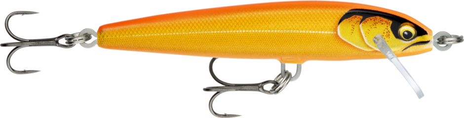 FLOATER ELITE RAPALA